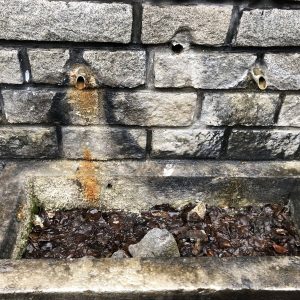 Възстановяване на водоизточници за прилепи и хора