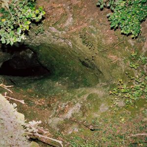 Vodnata Dranchi Dupka cave