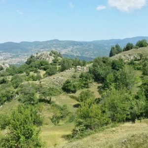 Лилейкова дупка