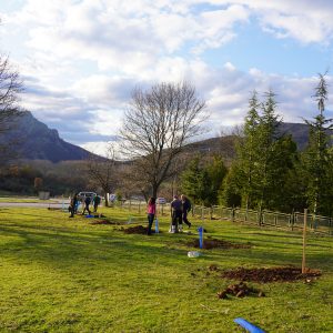 Successful planting of 230 fruit trees in Eastern Rhodopes
