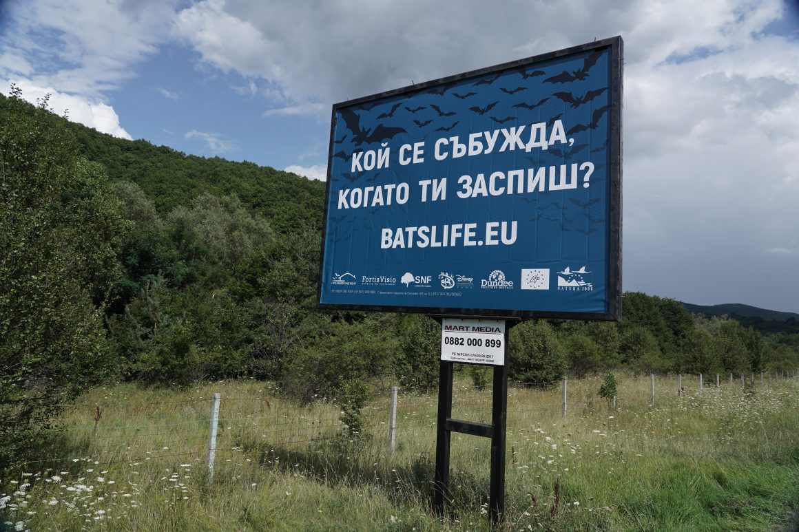 2 билборда
