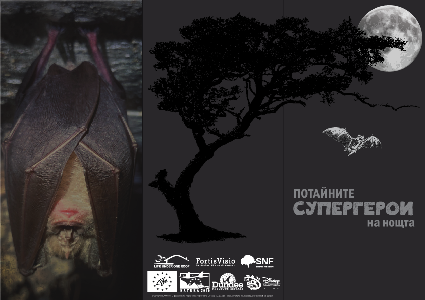 Информационни материали-брошури(3000 броя), стикери(3000 броя), плакати(500 броя), пощенски картички(3000 броя), тениски(100 броя)