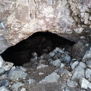Стани защитник на популацията на прилепите