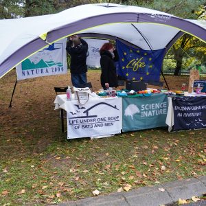 International Bat Night at Sofia Zoo International Bat Night at Sofia Zoo