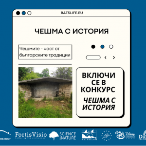 Competition – “Watering place with history” Competition – “Watering place with history”