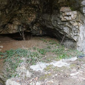 Cave guarding Cave guarding