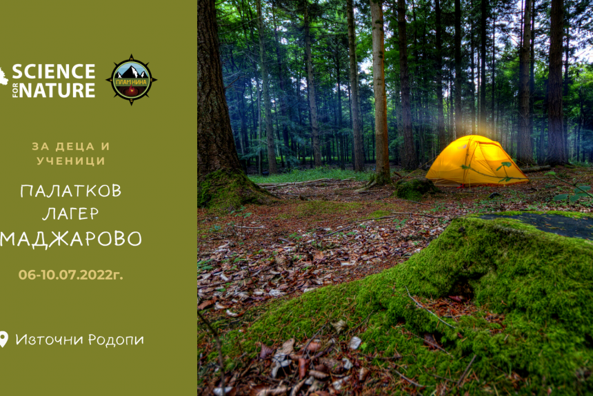 Summer tent camp