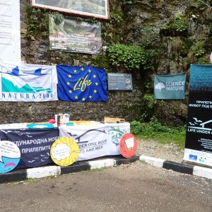 International Bat Night at Devil’s Throat Cave