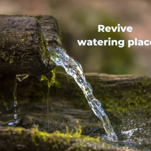 Watering places as a symbol and salvation